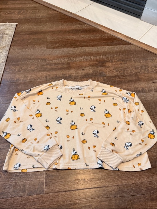 American Eagle Outfitters Tops - American Eagle Peanuts Snoopy Pumpkin Halloween Sweatshirt Large 2024